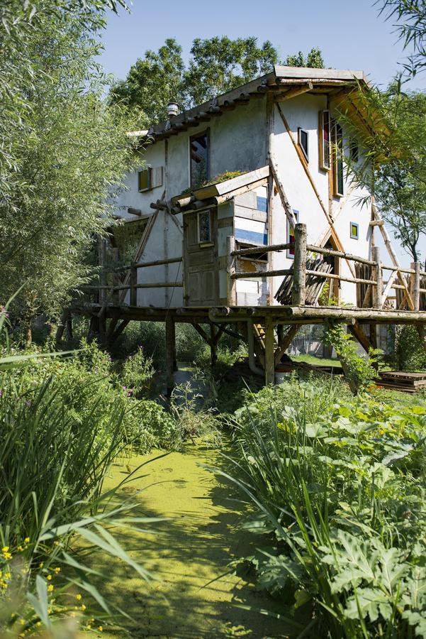 Reijgershof Bed and Breakfast Amsterdam Esterno foto